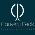 Cauvery Peak